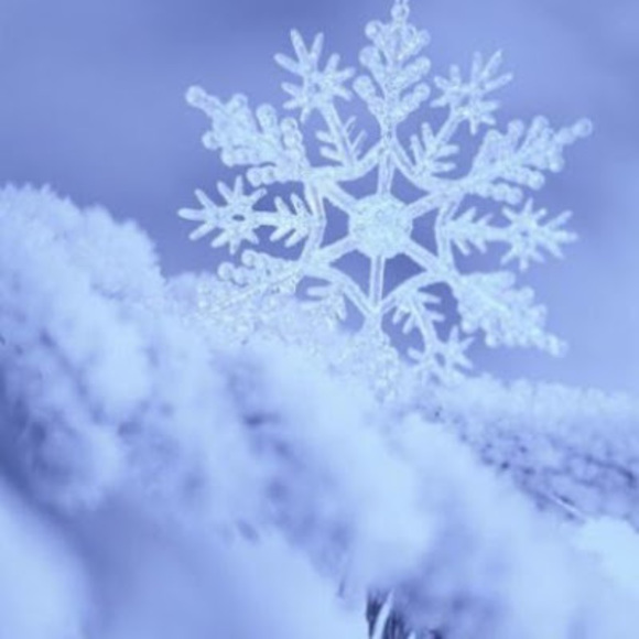 Meet your Posher, Snowfall - Picture 1 of 1